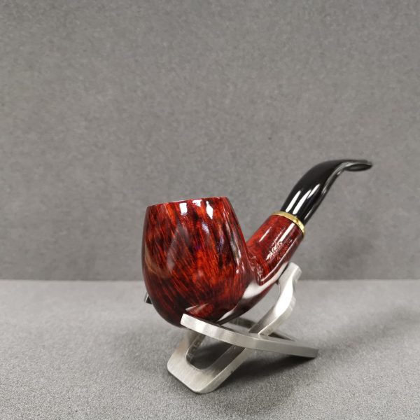 Aldo Morelli Loretto 495
