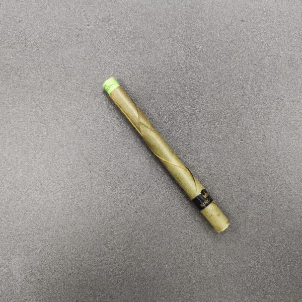 King Palm Rollie